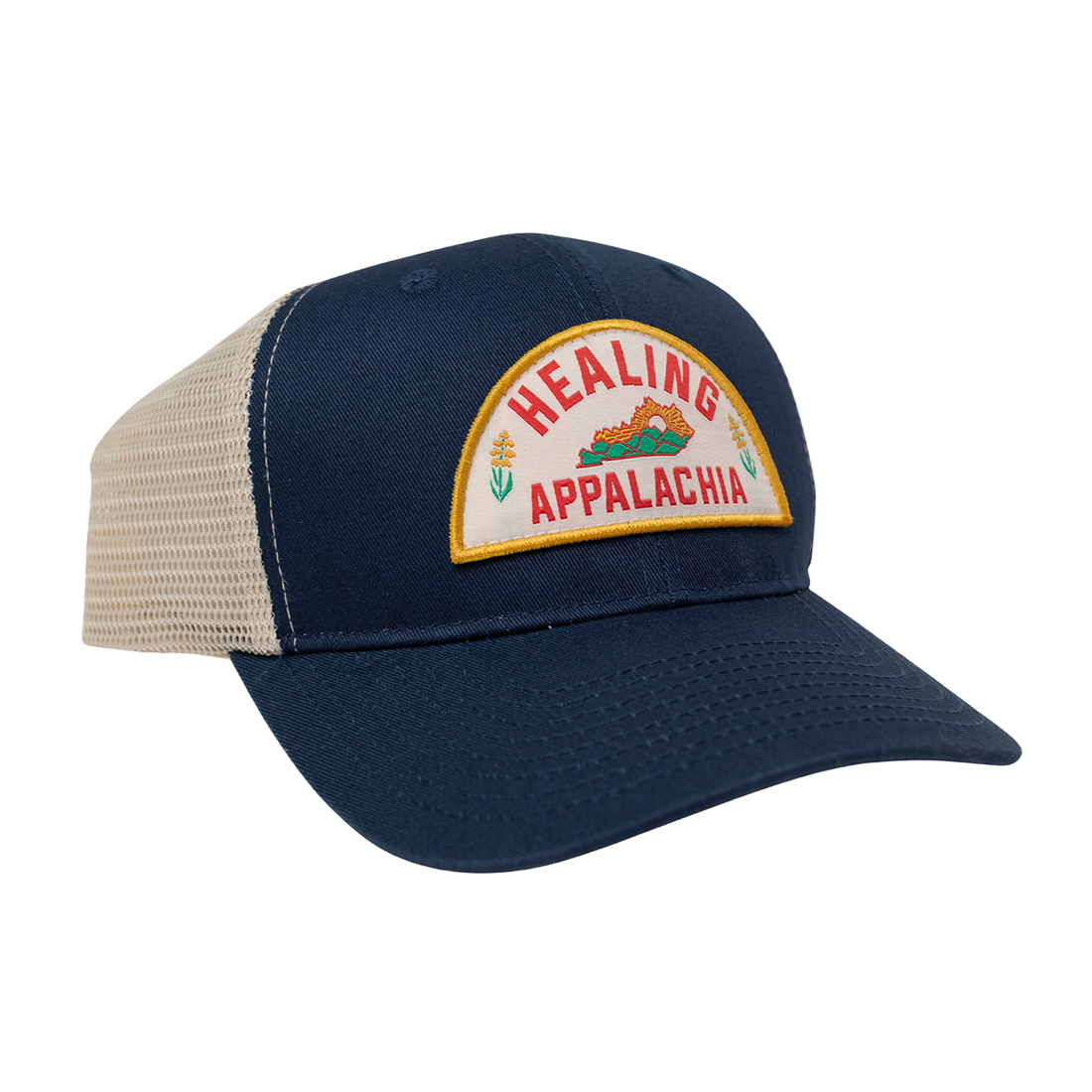 Healing Appalachia 6 Panel Hat