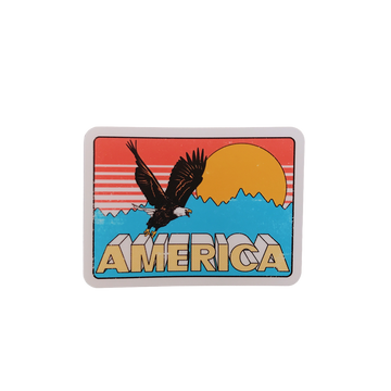 USA STICKERS