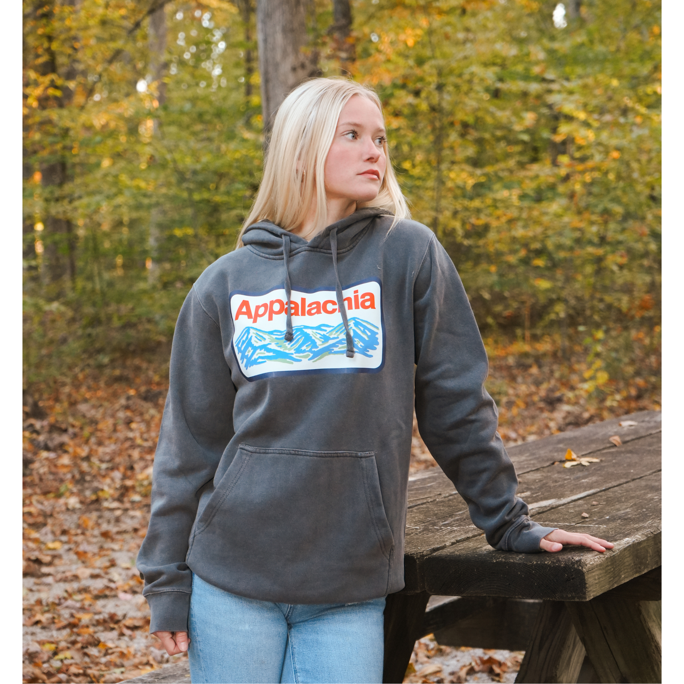Appalachia Patch Hoodie (Charcoal)