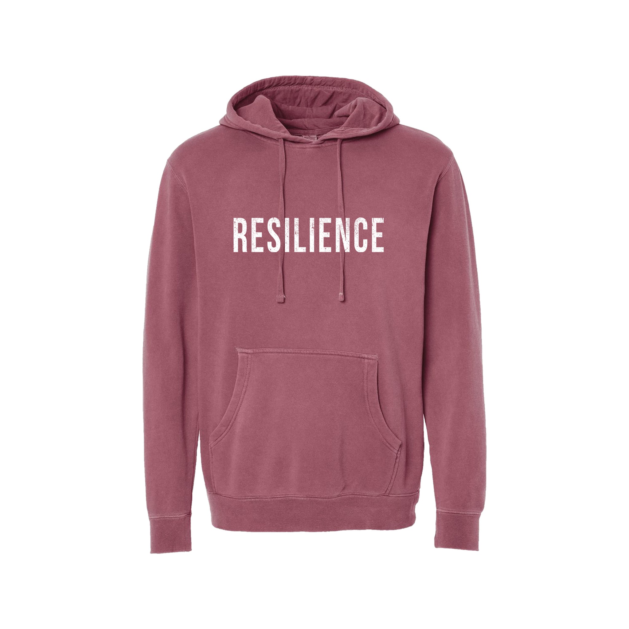 Resilience Hoodie ( ARH x NF )
