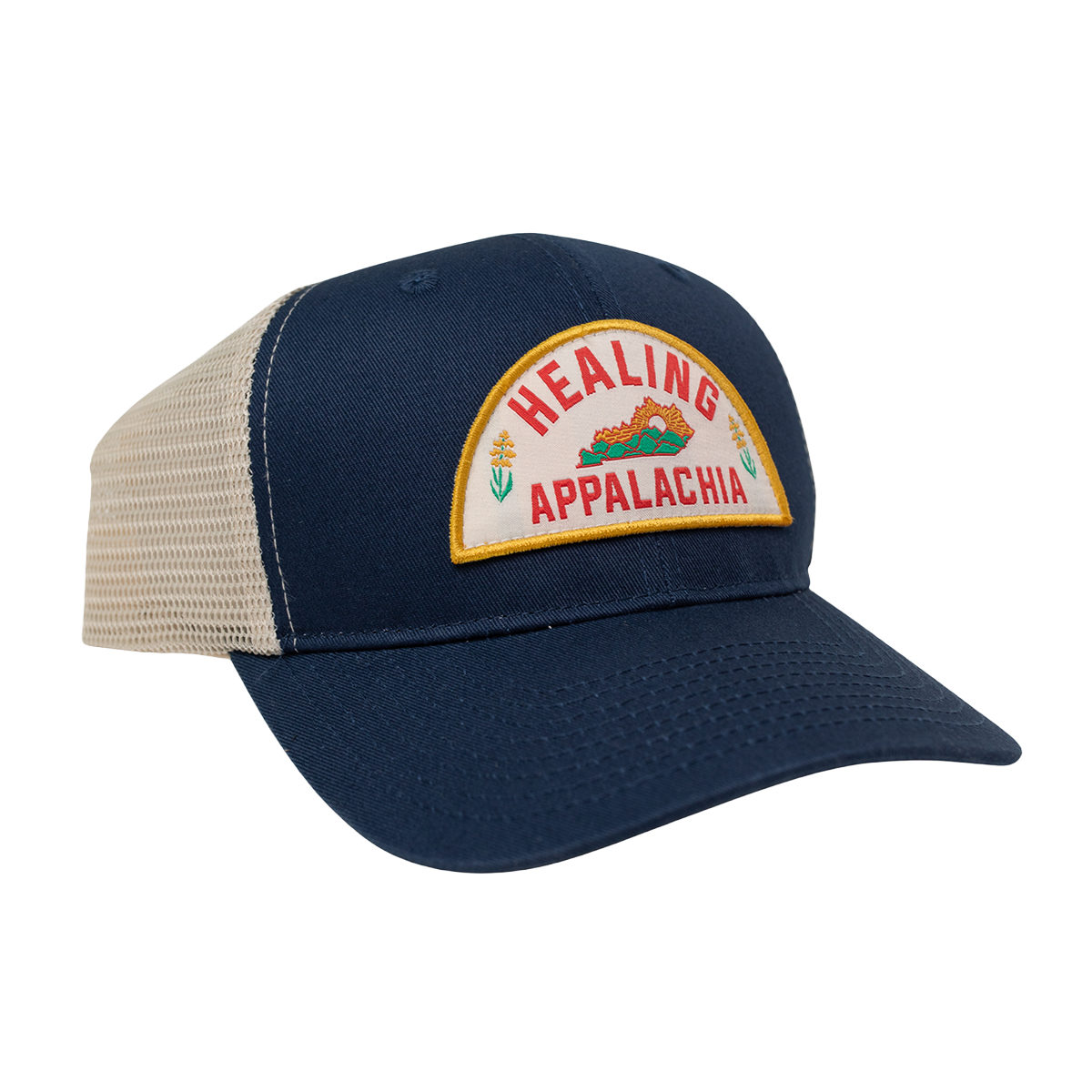 Healing Appalachia 6 Panel Hat