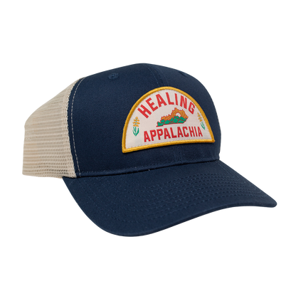 Healing Appalachia 6 Panel Hat