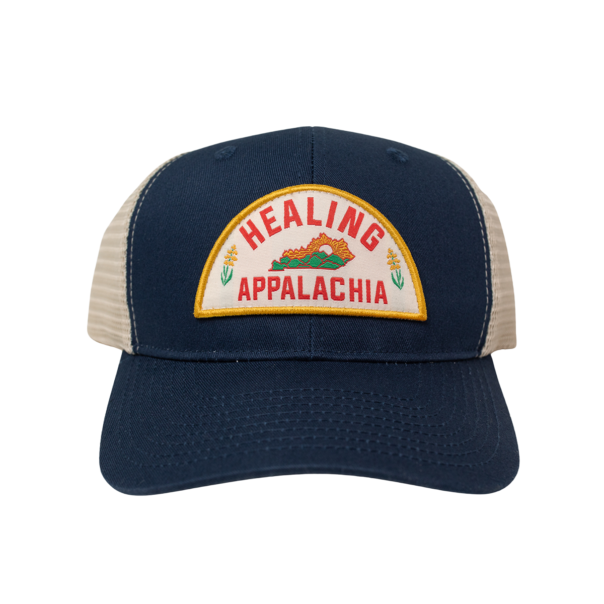 Healing Appalachia 6 Panel Hat