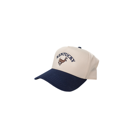 Kentucky Buck Hat ( Navy & Natural )